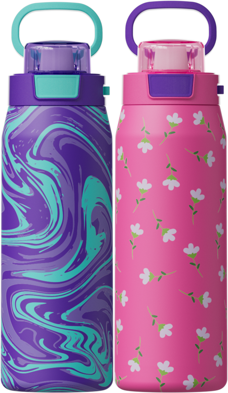 COOL GEAR 2-pack 24 oz Strive Stainless Steel Water Bottle, Reusable Bottle with Handle, BPA Free for Cold Beverages