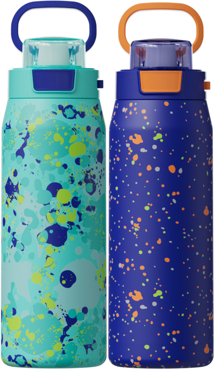 COOL GEAR 2-pack 24 oz Strive Stainless Steel Water Bottle, Reusable Bottle with Handle, BPA Free for Cold Beverages